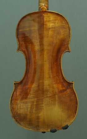 500806VIOLINESTAINERP3031554