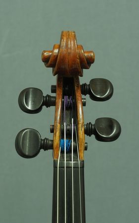 500806VIOLINESTAINERP3031555