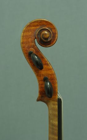 500806VIOLINESTAINERP3031556