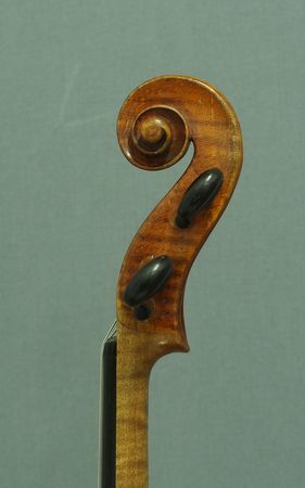 500806VIOLINESTAINERP3031560