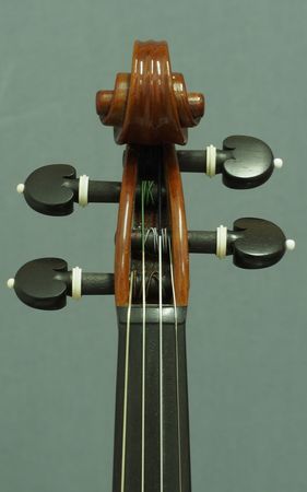 561299VIOLINEJACOBIA.P3031517
