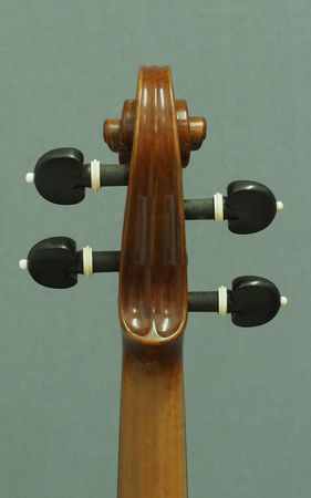 561299VIOLINEJACOBIA.P3031522