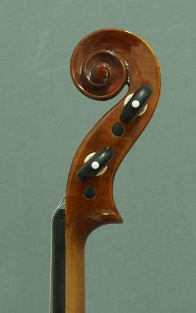 561299VIOLINEJACOBIA.P3031525