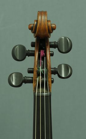 611203VIOLINEHOPFP3031491