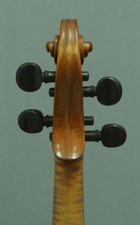 611203VIOLINEHOPFP3031493