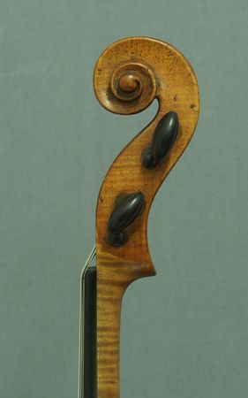 611203VIOLINEHOPFP3031494