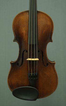 630312VIOLINEMEYERA.P1191124