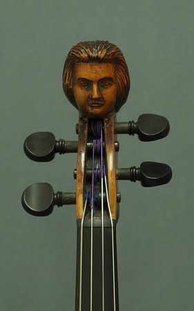 630312VIOLINEMEYERA.P1191129