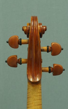 641247VIOLINEDESIATOP3031543