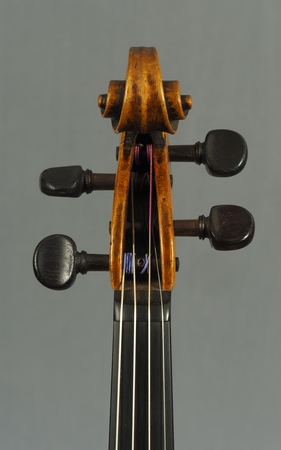 700909StainerSchneckeFront x450