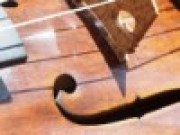 front_violine_1_100x100