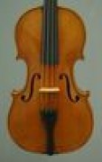 660331ViolineP1181063x100